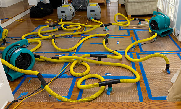 Professional Crawl Space Water Removal technician working in Big Bear City, CA